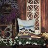Oystercatchers Feeding Throw Pillow Machine Washable, Indoor Outdoor Decorative Pillow for Couch, Bed or Patio, 14Hx14W