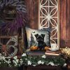 Affenpinscher Spooky Halloween Throw Pillow Machine Washable, Indoor Outdoor Decorative Pillow for Couch, Bed or Patio, 18Hx18W