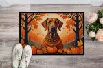 Rhodesian Ridgeback Fall Doormat Front Door Mat Indoor Outdoor Rugs for Entryway, Non Slip Washable Low Pile, 24H X 36W