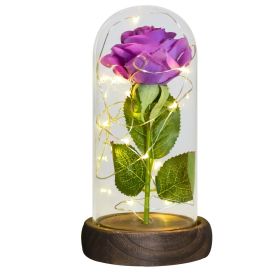 Gifts for Women Beauty and The Beast Preserved Roses In Glass Galaxy Rose LED Light Artificial Flower Birthday Gift for Girls (Color: Silk Rose-Purple)
